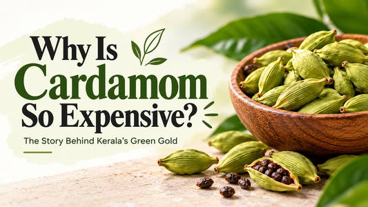 Why Is Cardamom So Expensive? The Story Behind Kerala's Green Gold